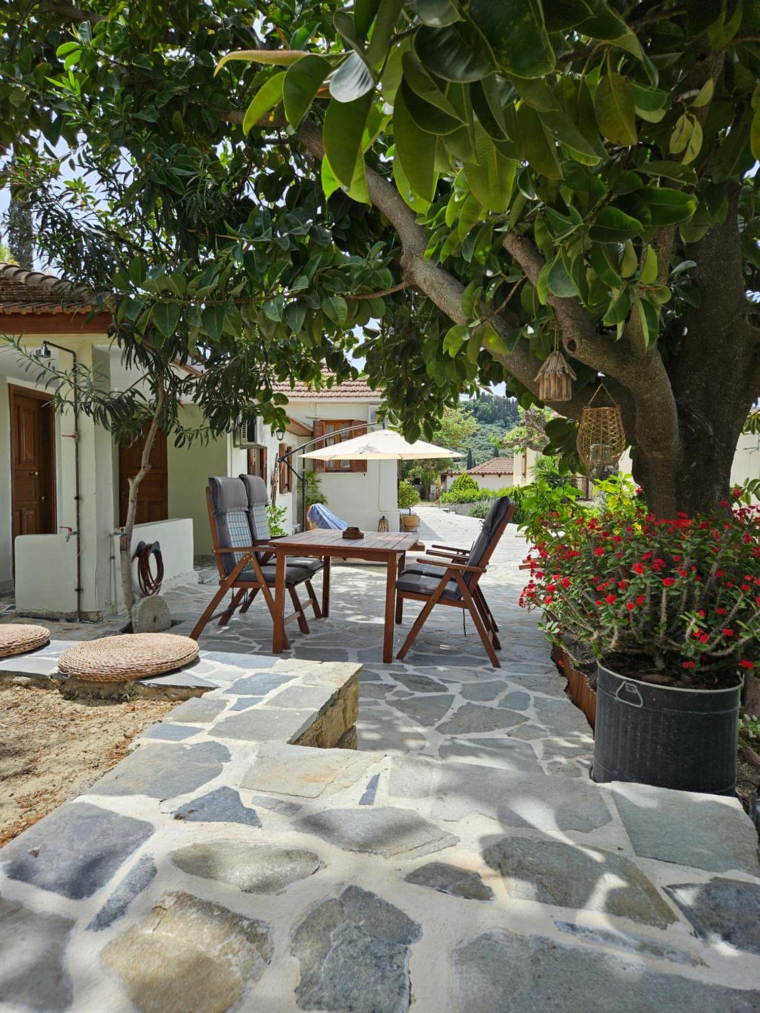 Kymanemi Zakynthos Cottage House Ano Yerakarion Экстерьер фото